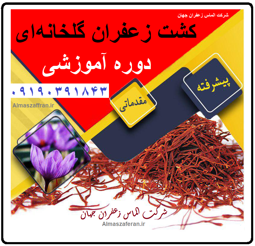 کشت زعفران گلخانه ای آیروپونیک 