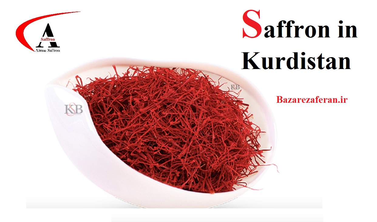 Kurdistan saffron